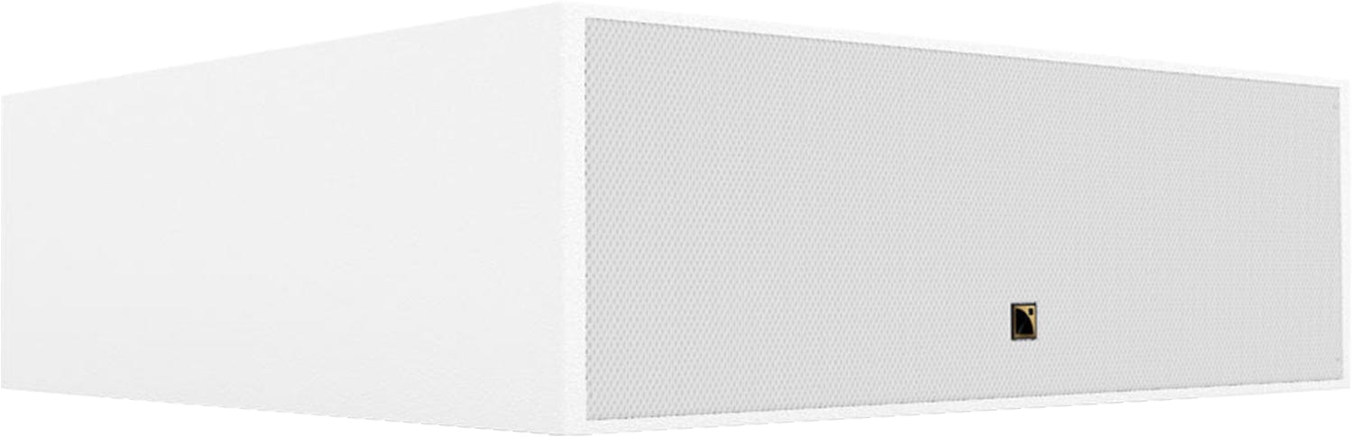 L-Acoustics SB10iW10