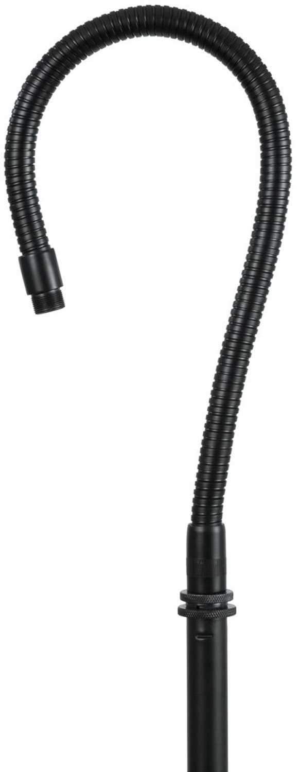 Gator 19