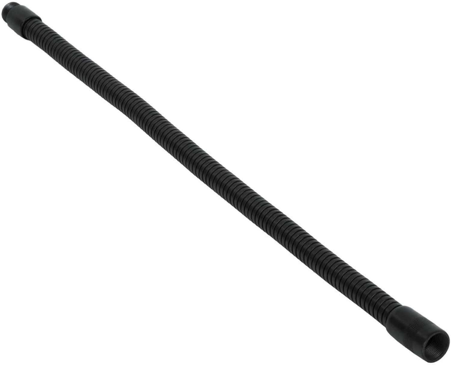 Gator 19