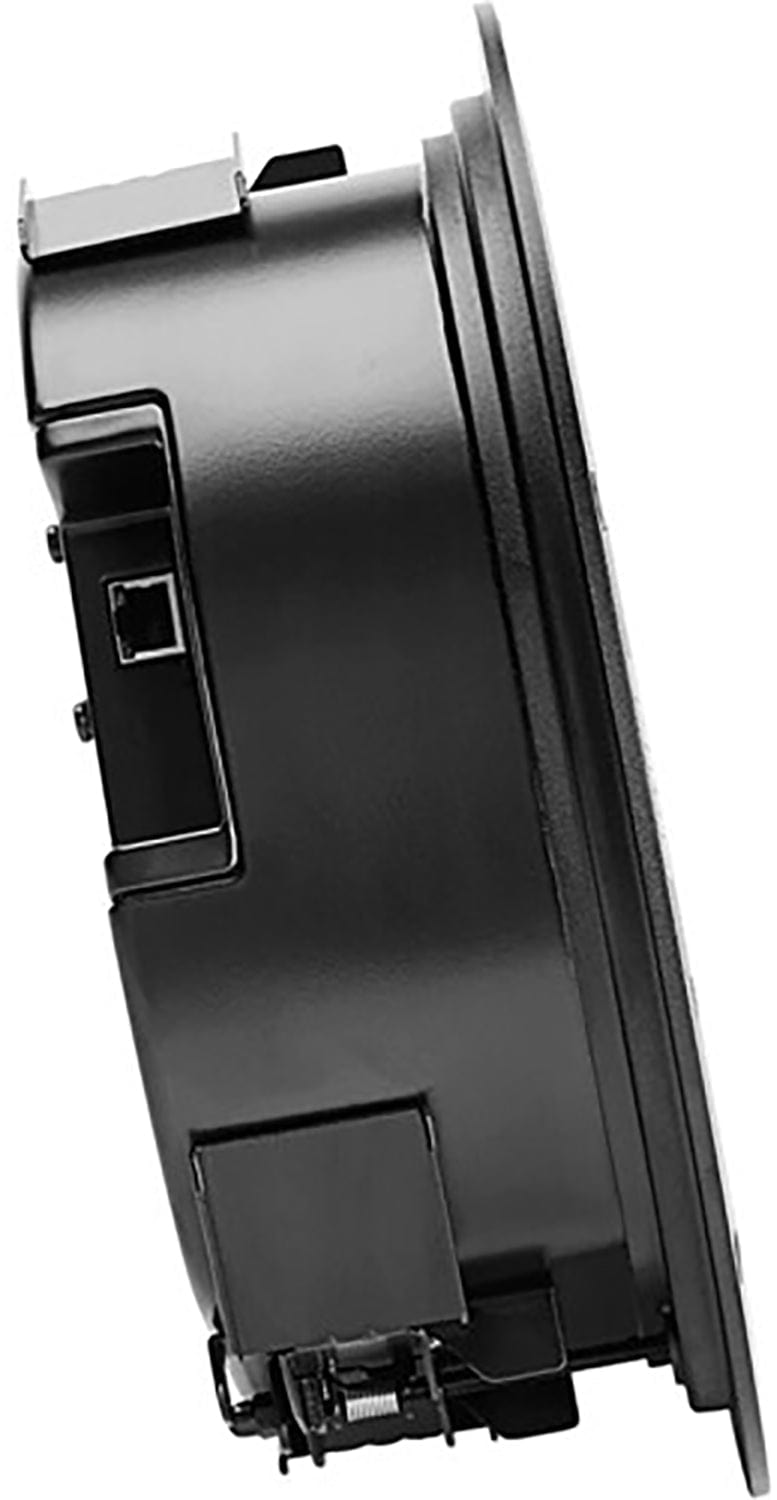 Shure MXN5W-C 5.25Dante，！